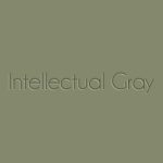 Intellectual-Gray