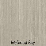 IntellectualGray_w-Name